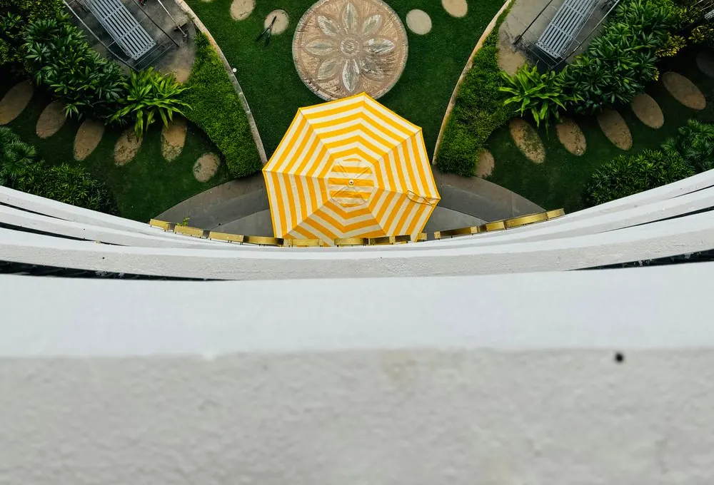 Beautifully landscaped garden after transformation
