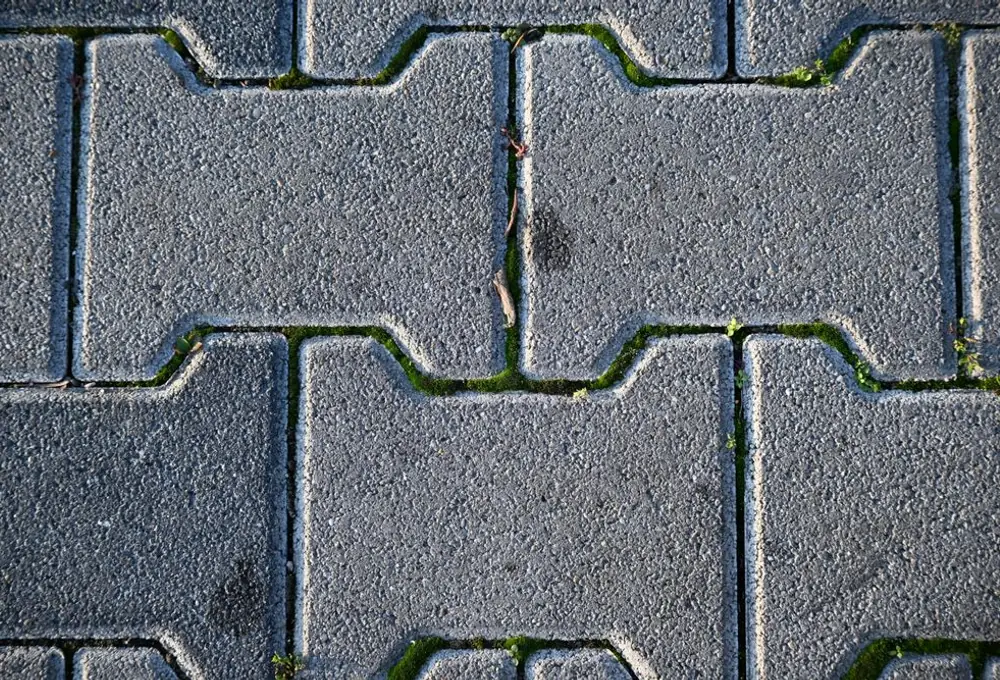 Tired, mossy old driveway before transformation